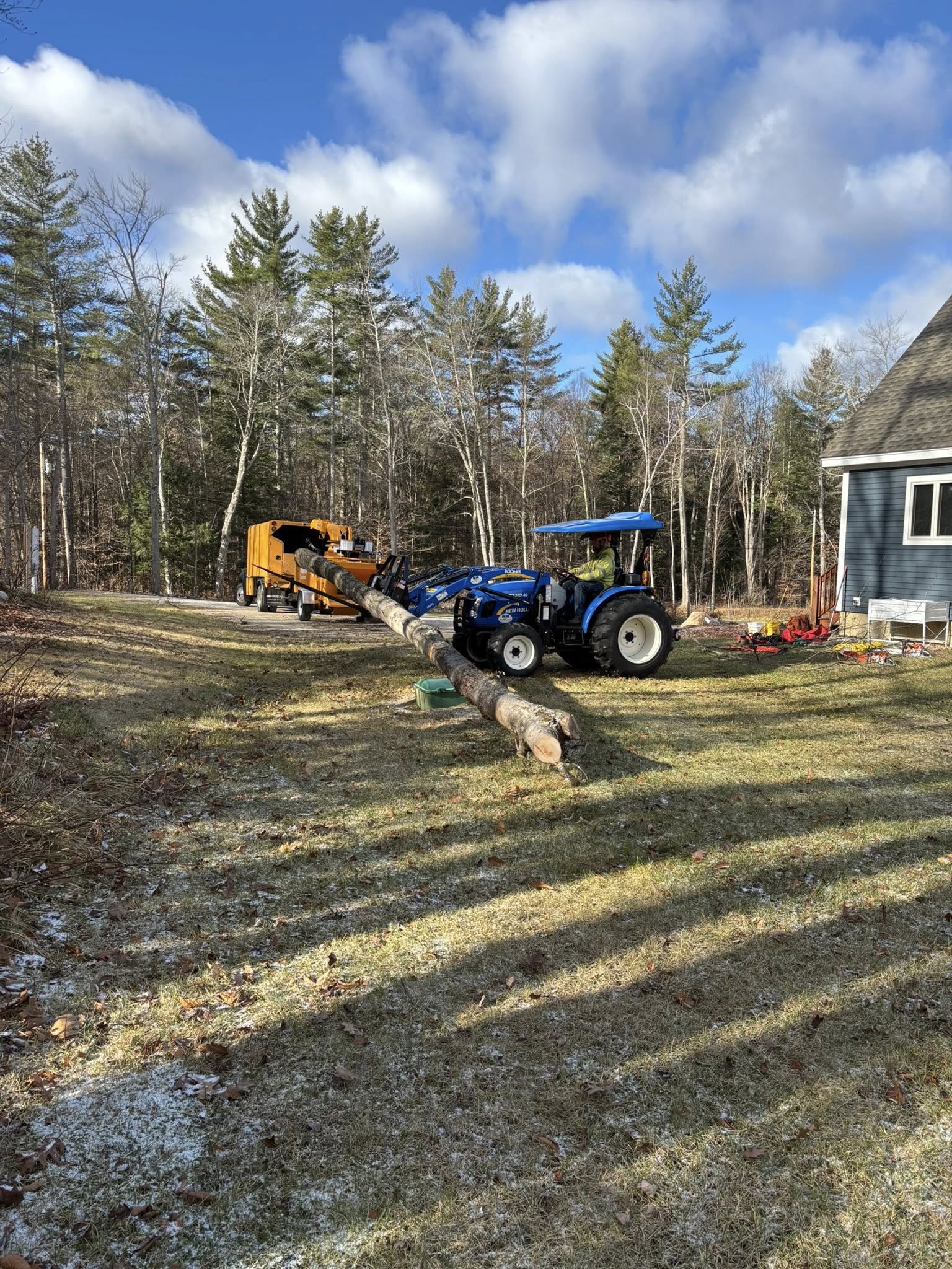 Residential tree removal service near house in Vermont