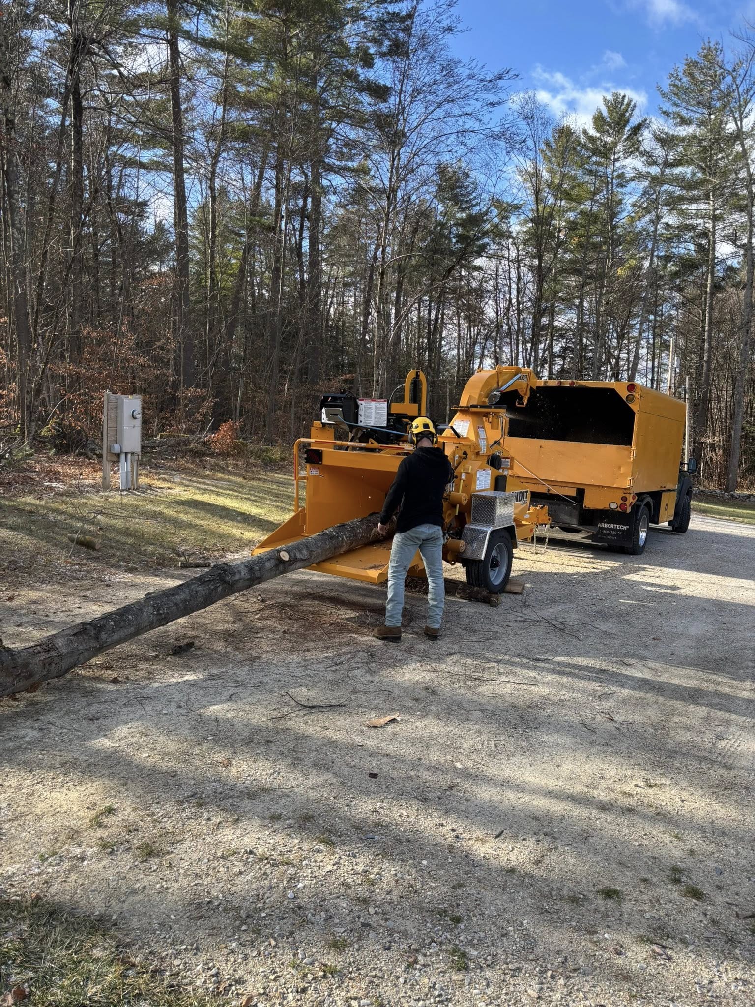 Tree service crew feeding log into wood chipper in Vermont