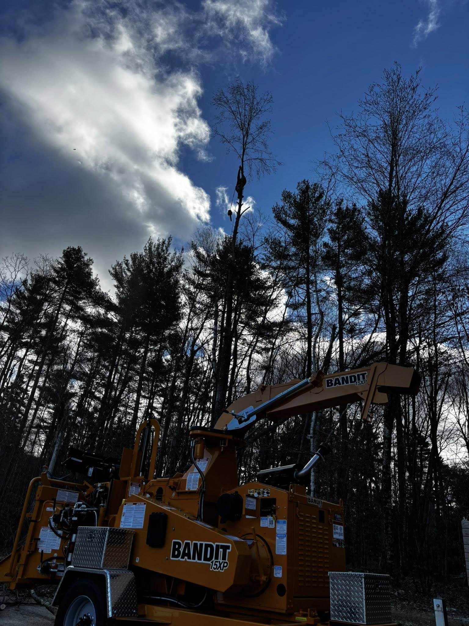 Tree removal equipment and climber working in Vermont